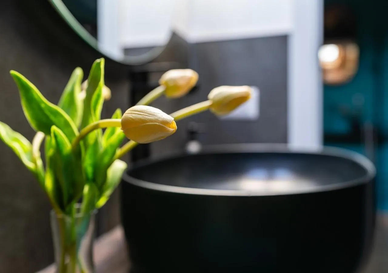 Roma 20Min-Elegante Loft Storico Grottaferrata Apartment